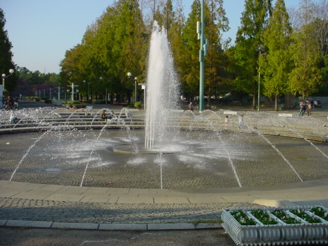 花博記念公園鶴見緑地の噴水